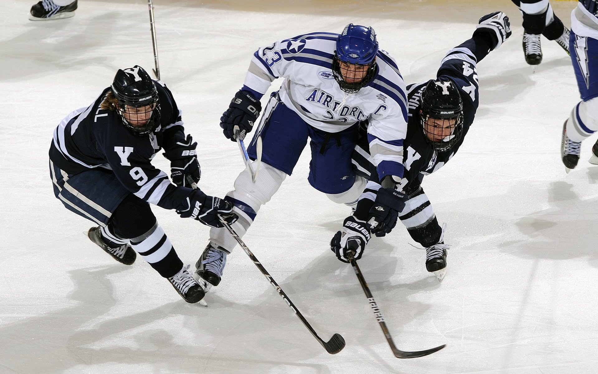 校园体育活动组织创新研究，校园体育活动组织创新研究报告