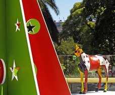 九游下载官网-校园体育文化建设与学生价值观形成，校园体育文化建设与学生价值观形成的关系